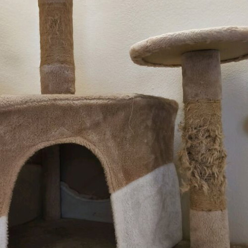 Cat tree with scratching post used 60x50x199