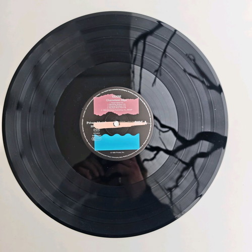 Yanni Chameleon Days vinyl LP used, original 1988 press