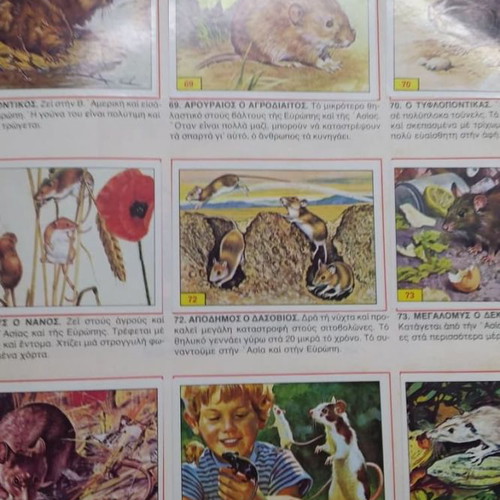 Mammals collectible album used Panini 1979 with stickers