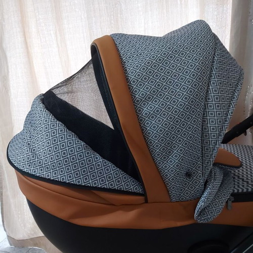 Anex Sport Deluxe Foxy stroller with car seat used