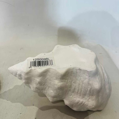 Decorative seashells set of 2 used, sizes 8x17x10 and 12x13