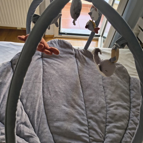 Little Dutch baby gym like new