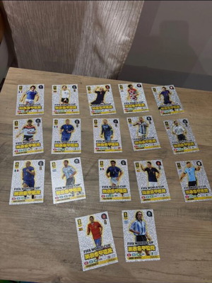 Andrenalyn World Cup master cards like new, set of 17