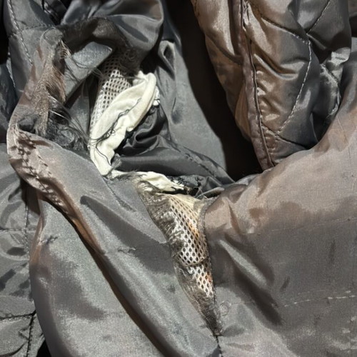 No Fear motorcycle jacket used, size Medium
