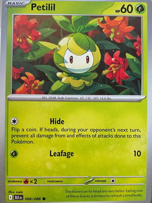 Pokemon Petilil Basic Card new in sleeve
