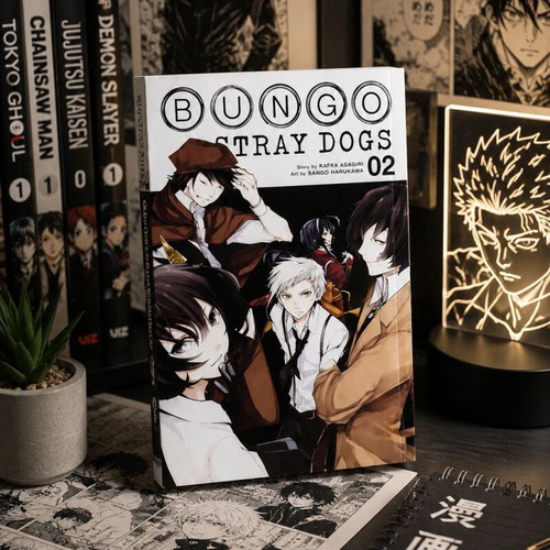 Bungo Stray Dogs Volume 2 manga like new, English edition
