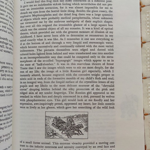 The Secret Life of Salvador Dalí book slightly worn