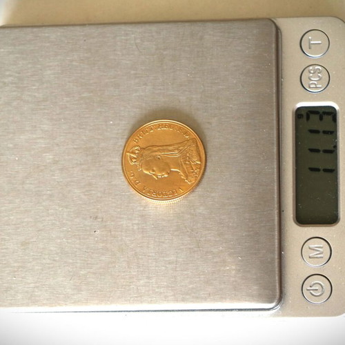 Double English Sovereign 24K Gold Plated Coin New