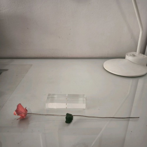 Metal rose decorative piece on plexiglas base, new