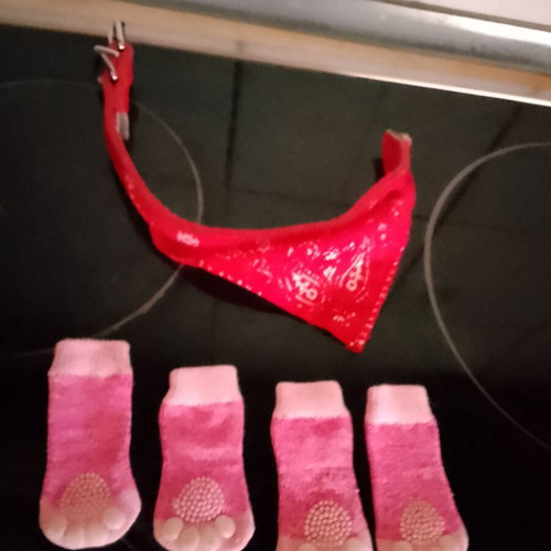 Dog paw socks for small dog like new