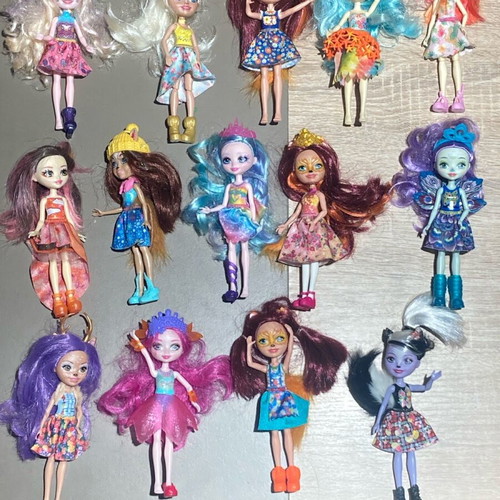 Mattel Enchantimals 14 dolls used, pack
