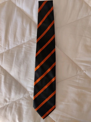 Berto Lucci Milano tie 100% silk like new