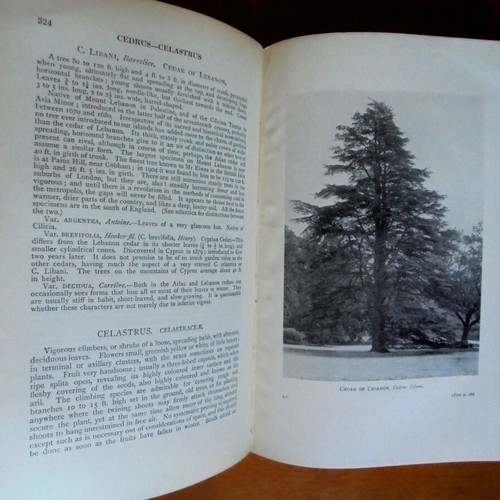 Trees and Shrubs Hardy in the British Isles used, 3 volumes