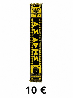 Aris Scarf new, authentic