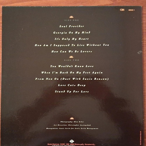 Michael Bolton Soul Provider record used, Greek pressing 1989