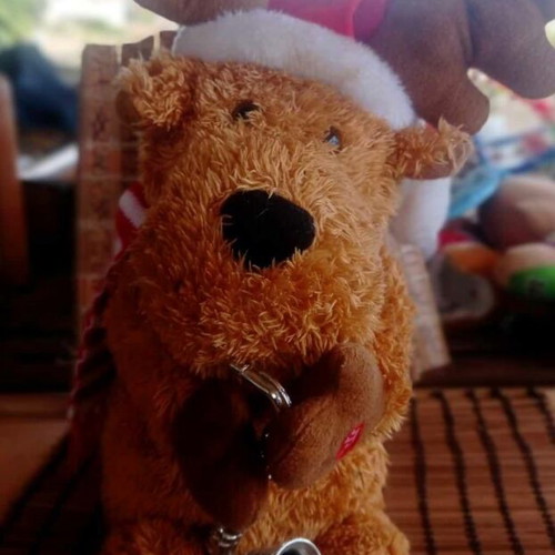Plush reindeer that plays music with batteries