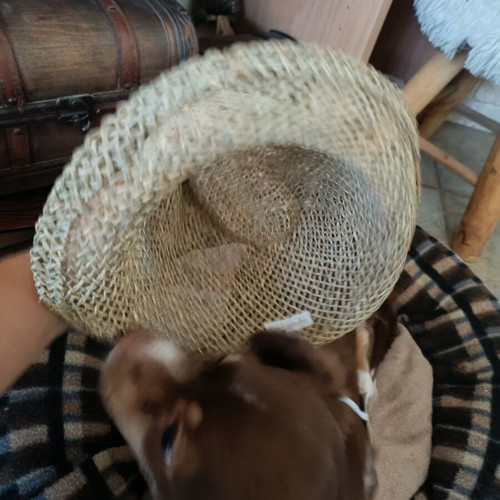 Guy Laroche straw hat new, size S, beige for 4-year-old child