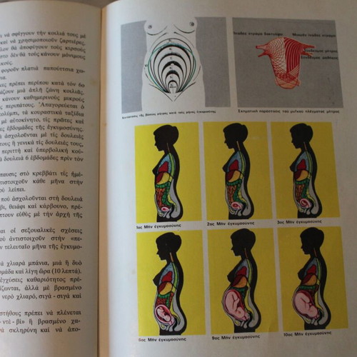 Dictionary of Human Anatomy 1963, new, Greek language