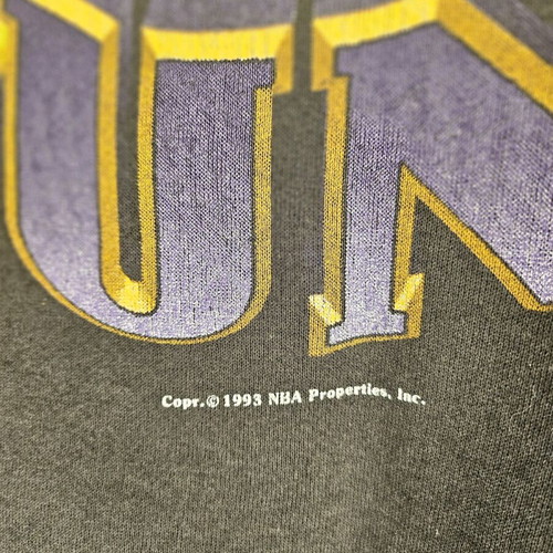 NBA Nutmeg 1993 Phoenix Suns sweatshirt used, authentic