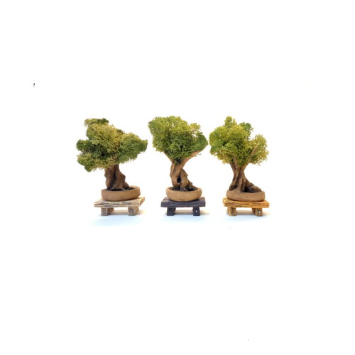 Mini Olive Bonsai Tree Handmade Ceramic Clay with Preserved Moss