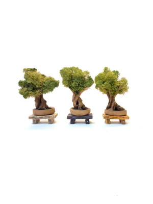 Mini Olive Bonsai Tree Handmade Ceramic Clay with Preserved Moss