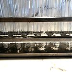  Συλλεκτικό διακοσμητικό ιατρικό inox στάντ με δοκιμαστικούς σωλήνες του 1950, μήκους 38 εκ