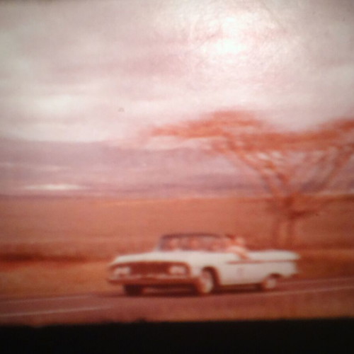 Blue Hawaii Super 8mm film like new, color, sound, Elvis Presley