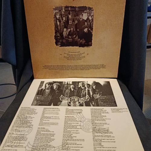 The Earth, a Small Man, His Dog and a Chicken vinyl LP used by REO Speedwagon