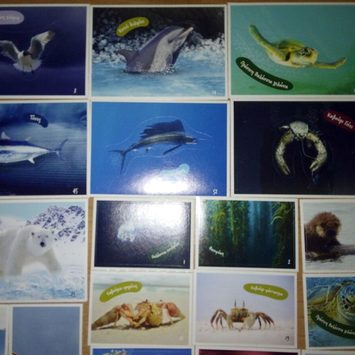 AB Vasilopoulos Exploring the Ocean sticker set with 39 stickers and 2 tattoos