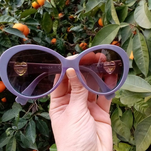 Vogue sunglasses used with presbyopia lenses