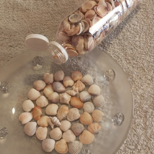 Bottle 0.5L filled with seashells for crafts