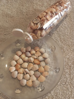 Bottle 0.5L filled with seashells for crafts