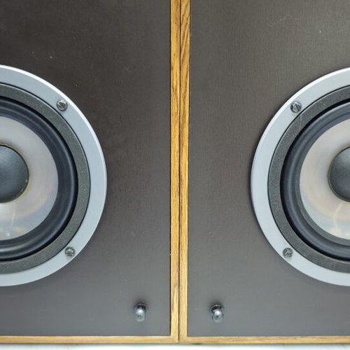 Infinity RS 9 speakers used, very good condition