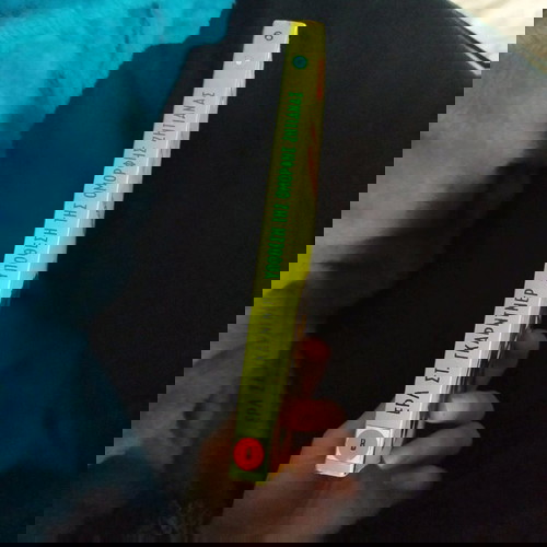 Υπόθεση της όμορφης ζητιάνας μεταχειρισμένο αστυνομικό μυθιστόρημα