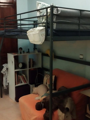 IKEA Svarta bunk bed like new