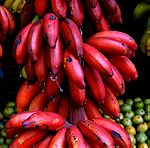  20 Σποροι Κοκκινη Μπανανα