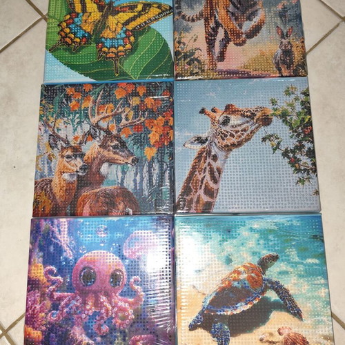 Diamond Canvas Set of 6 Small Decorative Paintings New