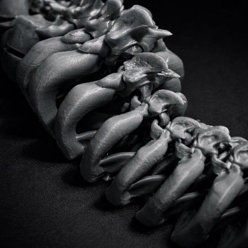 Skeleton Dragon with impressive detail and flexible joints, new