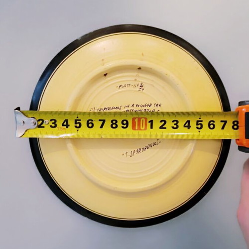 Collectible museum replica plate used, handpainted by J. Spyropoulos