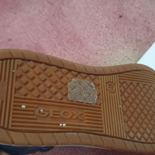 Kids shoes Geox size 36 used
