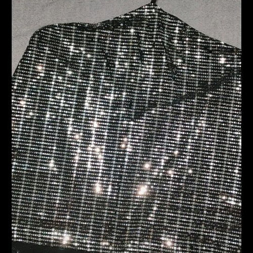 Zara Basic silver top new, lingerie style with shiny sequins, large