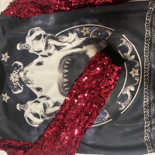 Sweatshirt with design and red sequin sleeves used