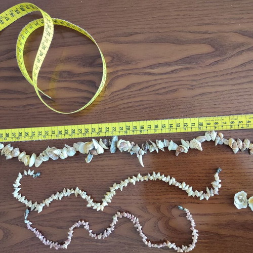 Sea shell jewelry set used, handmade, beige