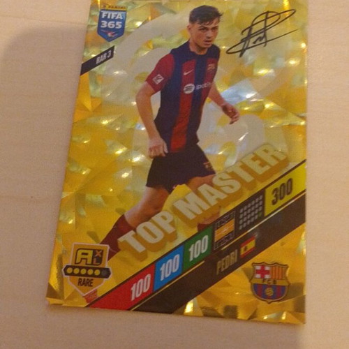 Top master 2024 new cards