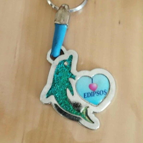 Metal dolphin souvenir keychain from Edipsos used