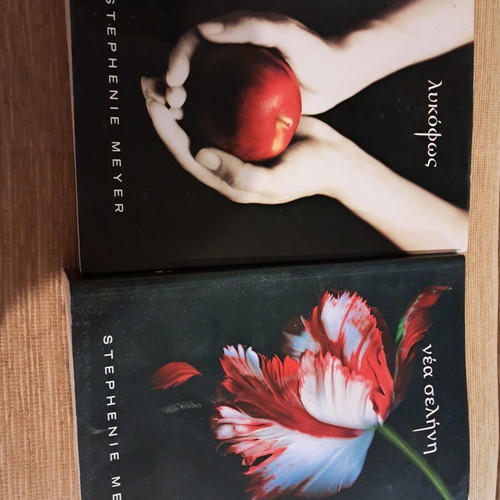 Twilight and New Moon books by Stephenie Meyer