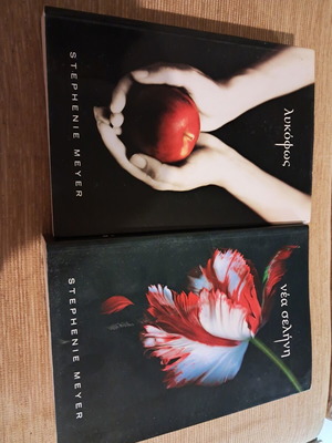 Twilight and New Moon books by Stephenie Meyer