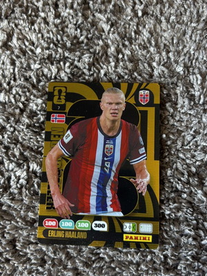 Panini Gold Special Card new