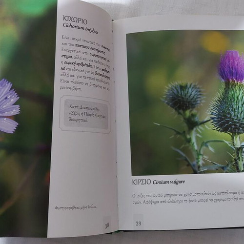 Wild plants and herbs of Vermio with references to Dioscorides by N. Bampas 2015, published by Kyriakidis