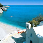 Αγροτεμάχιο 24.000 τ.μ. με ελαιόδεντρα στην Αμμοοπή Καρπάθου